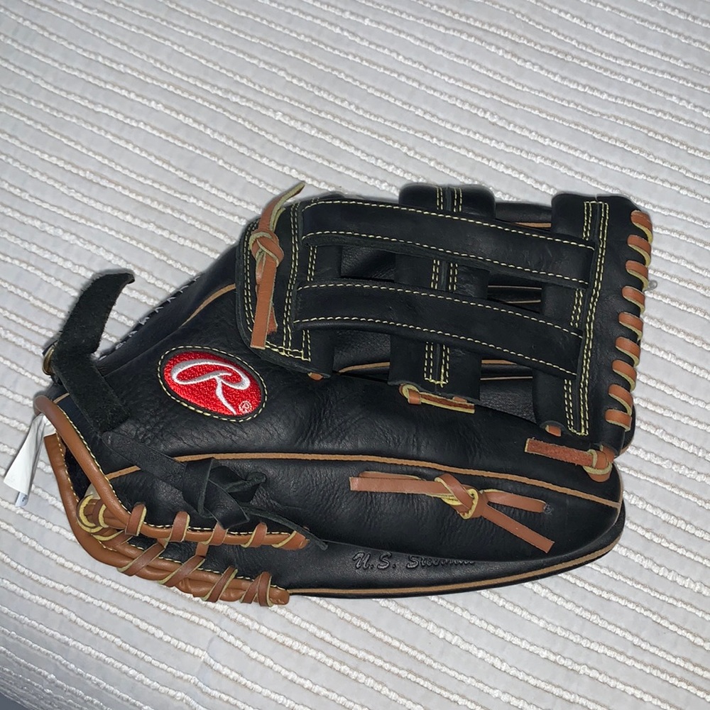 Rawlings Pro Series Special Edition Baseball Glove